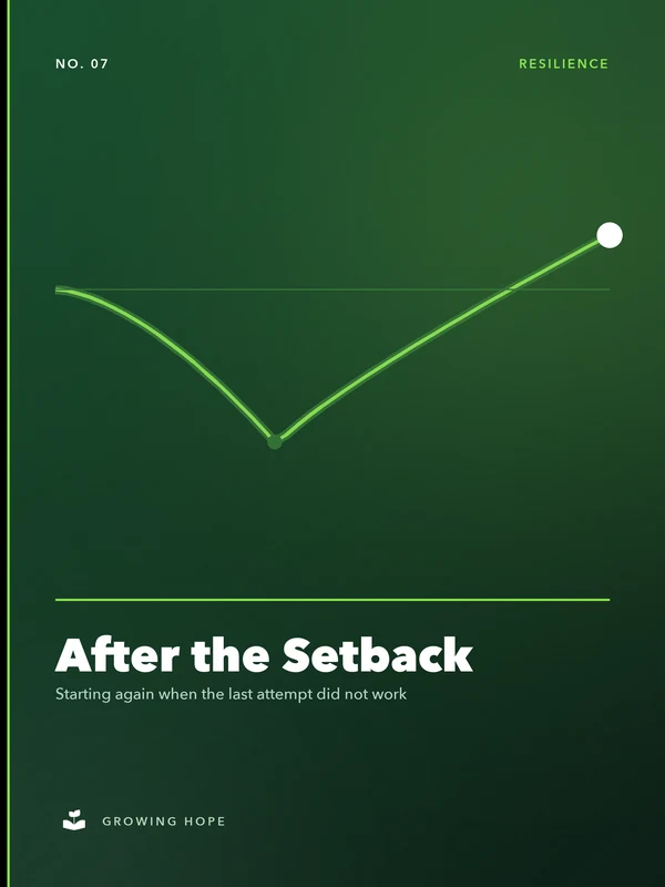 Cover of After the Setback