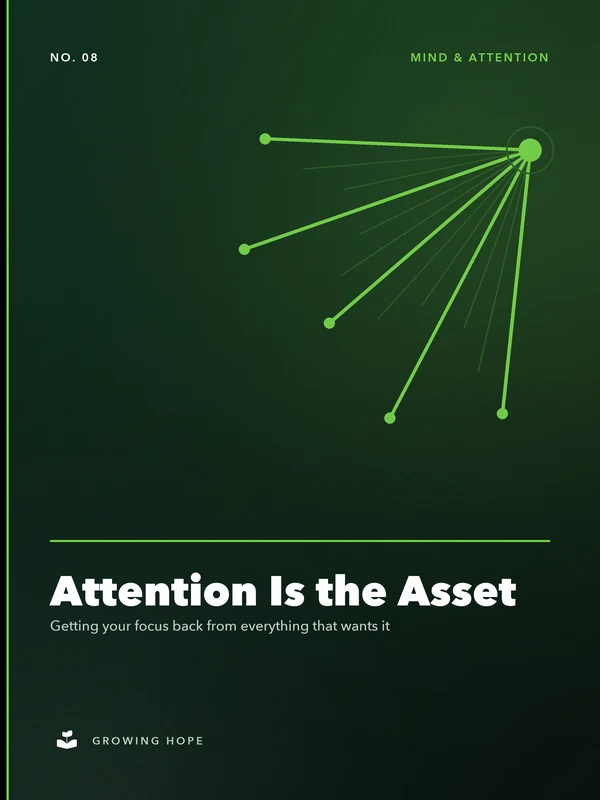 Cover of Attention Is the Asset