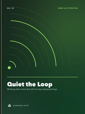 Cover of Quiet the Loop
