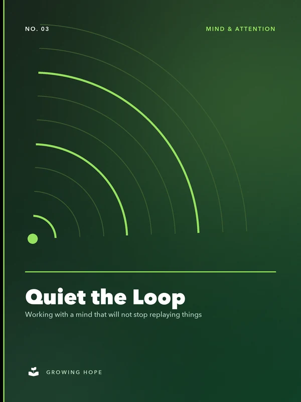 Cover of Quiet the Loop